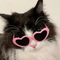 깍이 (@kimkolkak) 's Twitter Profile