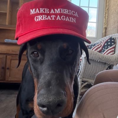 gumtree78's profile picture. MAGA American, Proud Army Brat, Mom to the best two kids and a house full of pets.