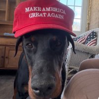 Kim Davis (@gumtree78) 's Twitter Profile