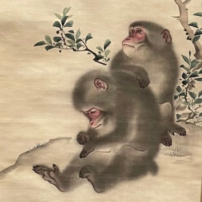 fumo52958164's profile picture. 天鳳/ORIX Buffaloes/SF6ラシード