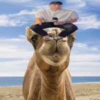 Dukes (@tampaduke77) 's Twitter Profile Photo Dukes (@tampaduke77) 's Twitter Profile Photo