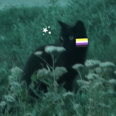 hello welcome to my page! | Agender + Pansexual | ☸️ Chán Sect buddhist (禪) 🪷