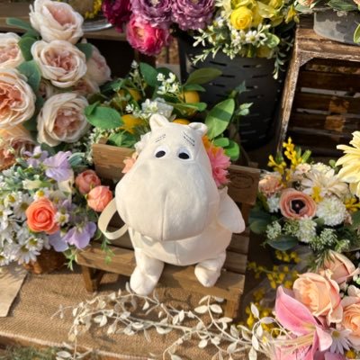 ムーミンバレーパークで撮ったお写真を載せたり感想を呟くアカウントです🕊 スナフキンとミイちゃんの写真多め🙌 F/R/Bご自由にどうぞ🫧