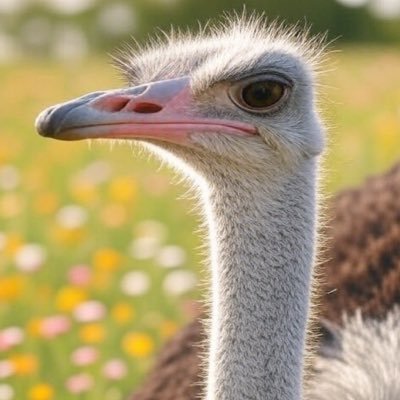 y264B7loEF0WEnt's profile picture. どんな物事に対してもフラットな目線でいられるように気をつける ※どんなコメントにも誹謗中傷はしないように心がける フェミニストだけどアンふぇの意見も大事