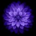 MIRA๐๐๐ซถ (@missnastymira) Twitter profile photo MIRA๐๐๐ซถ (@missnastymira) Twitter profile photo