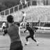 Devontae Woods (@devontaewoods4) Twitter profile photo Devontae Woods (@devontaewoods4) Twitter profile photo