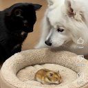 Kimberly Stover - @KimmersS74 - Twitter