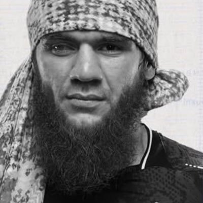 mmahaytde's profile picture. UFC champion