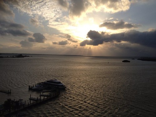 joshuackane's profile picture. You're only given a little spark of madness. You mustn't lose it.   🤪

--Robin Williams