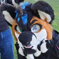 Lvx/Batsu Fox (@lvxfox) 's Twitter Profile