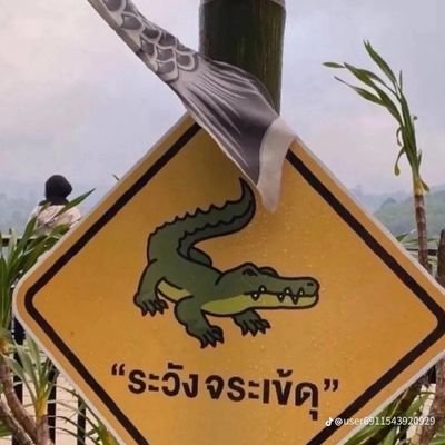 ส่วนตัวเป็น...อยากมีเเฟนชายเเท้อยากคบกันนานๆรักนะไอ้ต้าว