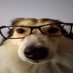 changename (@asyorsh) Twitter profile photo changename (@asyorsh) Twitter profile photo