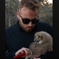 Claudio Amoros Box (@claudio_amorosb) 's Twitter Profile