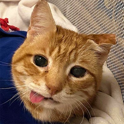 synocle's profile picture. computers and chemicals