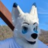 vwolfmusic's profile picture. 24 / Male / SFW (Minors DNI) / University Graduate / Musiciam / Fursuit by @FireWolfStudio
