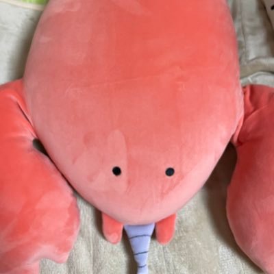 Demon_roki's profile picture. 30代後半のゲームが好きな騒がしいおじさん デュエマ　PSID demonbein 天安門