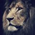 الفحل صياد (@ad04904104) Twitter profile photo الفحل صياد (@ad04904104) Twitter profile photo