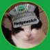 🌈 Fred the Angel Cat (@fredthecat14) Twitter profile photo 🌈 Fred the Angel Cat (@fredthecat14) Twitter profile photo