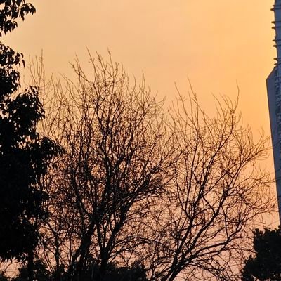 Akinosoratsuru's profile picture. (´▽`ʃƪ)english is ok 日本語は大丈夫   
中文母语( ͡° ͜ʖ ͡°)✧
虚無主義者 Nihilist 随地大小便 心理變態 好奇星人
如果对你太热情，那可能就是我因为没有朋友所带来的副作用
一辈子的辅助位。渣男