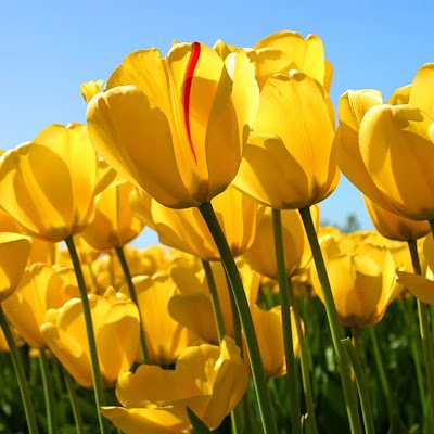 motidharai2254's profile picture. 