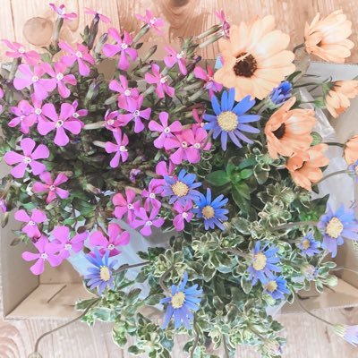 thesun0923's profile picture. アロマと自然が大好きです🌿最近パクチーに、どハマリ中🤗 心の声をたいせつに、日々を丁寧に、平和であたたかな世界に共鳴しています。 …という私を目指してます😻 ·͜·ᰔ     ☀️Rise with the sun☀️✼無言フォローお許しください #世界平和 #人類一家族 #良心革命