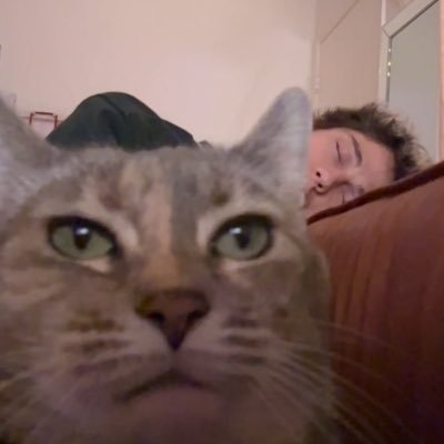 itscharliebebe's profile picture. looking camp right in the eye
