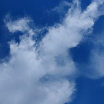 khuu_k2's profile picture. 