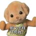 Serin(见过张艺兴内场1排版) (@serin0711) Twitter profile photo Serin(见过张艺兴内场1排版) (@serin0711) Twitter profile photo