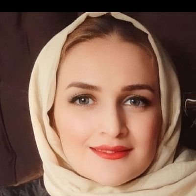 CEO & Founder of ICKI | Assistant Professor of the Business Development Department of Osveh | PhD: Business Management | PhD: Women Law