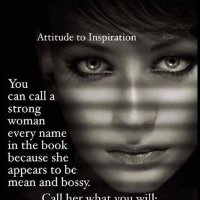 ꧁Southerngal꧂ 🇺🇸🇮🇱🕊 (@bsoutherngal) 's Twitter Profile