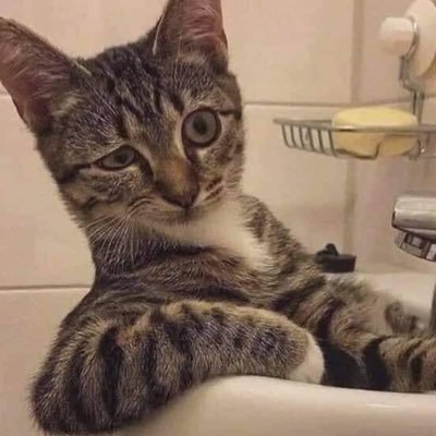 windy_68's profile picture. 