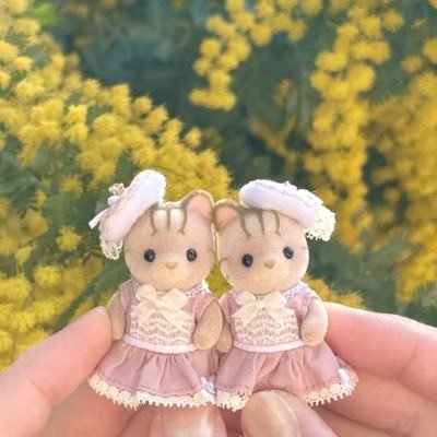 kui91_sakura41's profile picture. 都内近郊カフェ巡り。推しはシマネコの赤ちゃん🐈