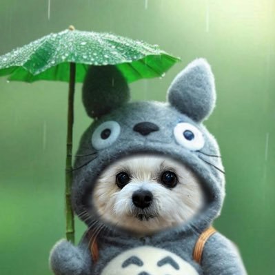 minamichannel3's profile picture. MINAMI♂🌈12歳4ヵ月KANON♀🌈 14歳3ヵ月COCO ♀🌈14歳1ヵ月KURUMI 2016年生まれ 好奇心旺盛 RIN 2024年生まれ 内弁慶 プロ野球シーズンは北海道日本ハムファイターズを熱く応援です！