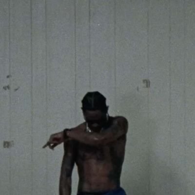 Avocadobuild's profile picture. 