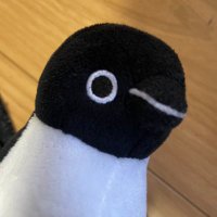 たかし (@ugomekuhai) 's Twitter Profile