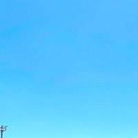 海水 (@ajnh2_3ma) 's Twitter Profile