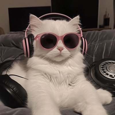 tafennn's profile picture. anti hero