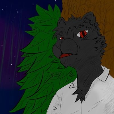 canadaplaysthis's profile picture. Call me Canada| oc:feline| French Canadian|Gay| Minor, NO NSFW!!!| Rave/Electro/Metal addict|My flags: 🇨🇦🏳️‍🌈⚛️ 
PFP:@flamesnomad