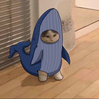 The Original Solana Whale#1 Source for next memecoin & Crypto News. #Solana #Bitcoin ⬇️Donate⬇️ 7cnwPuE5yep8Ghos6H2AFeo8SwguwssWuEraR6Gi4ULo