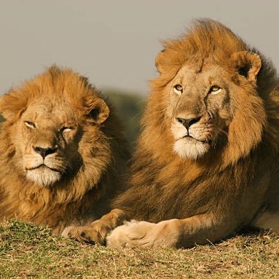 cain2770's profile picture. Whateva