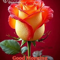 vashuMalik (@malik1947565) 's Twitter Profile