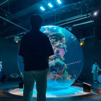 まつりょう (@jeonghangood) Twitter profile photo