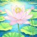 TheBitcoinLotus (@thebitcoinlotus) Twitter profile photo TheBitcoinLotus (@thebitcoinlotus) Twitter profile photo