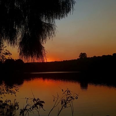 https://t.co/JVNbEFNCnM
you don't exist, I do.
opacarophile 🧡