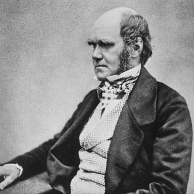 XXXdinar83's profile picture. Economist