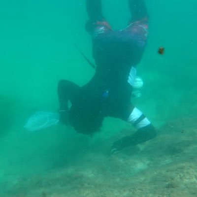 yuki_aquarium12's profile picture. 海水魚、サンゴ、深海魚、海、海水魚採取、競馬🏇 イクイノックス、ソールオリエンス、クロワデュノール推し🐎キタサンブラック産駒推し！ マジカルミライ2020〜25年　　色んなことをポストします🙇