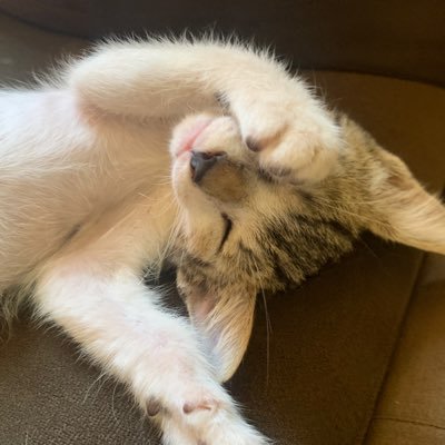 Manzinhn's profile picture. 😎👙🌊