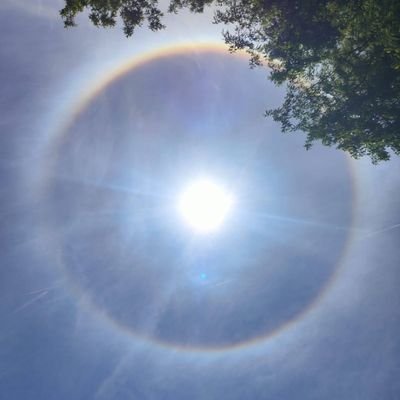 badaglu1's profile picture. #SLYWIN