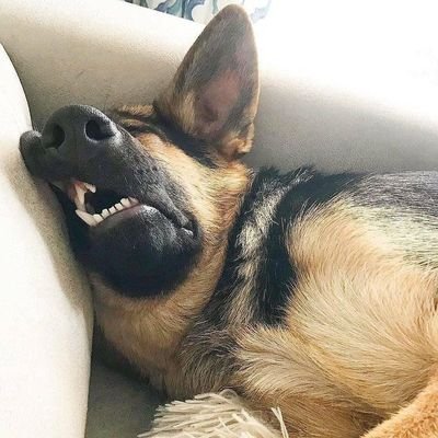 Wannaporn1845's profile picture. หาตังเปย์ตึกเจม 
ขอบคุณโลกนี้ที่ส่ง ดิเอิร์ท กับ มิกซิว มาให้รัก