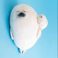 KEI (@0yblbdknus5767) 's Twitter Profile